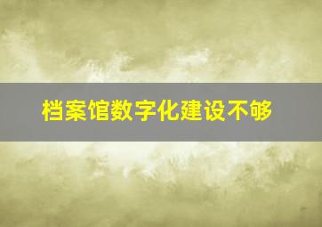 档案馆数字化建设不够