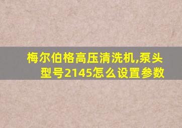 梅尔伯格高压清洗机,泵头型号2145怎么设置参数