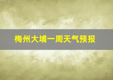 梅州大埔一周天气预报