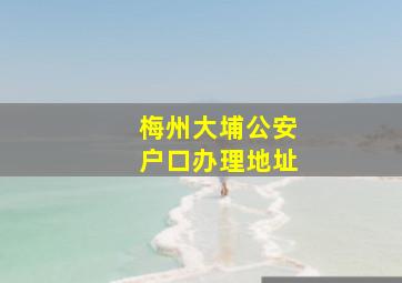 梅州大埔公安户口办理地址