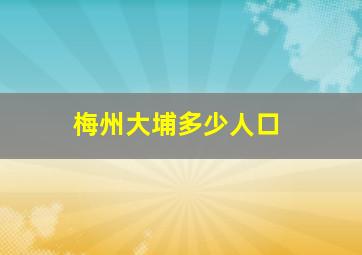 梅州大埔多少人口