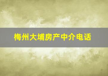 梅州大埔房产中介电话