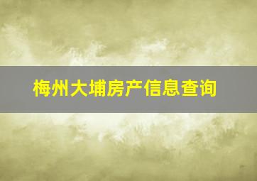 梅州大埔房产信息查询