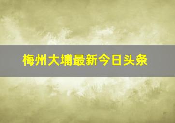 梅州大埔最新今日头条