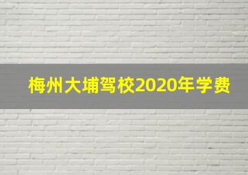 梅州大埔驾校2020年学费