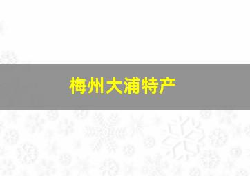 梅州大浦特产