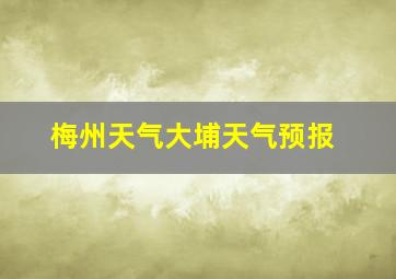 梅州天气大埔天气预报