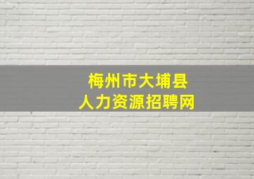 梅州市大埔县人力资源招聘网