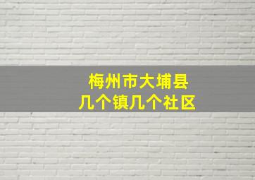 梅州市大埔县几个镇几个社区