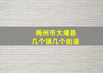 梅州市大埔县几个镇几个街道