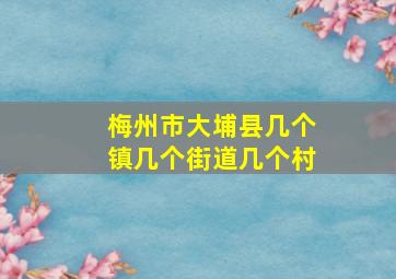 梅州市大埔县几个镇几个街道几个村