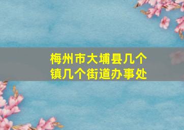 梅州市大埔县几个镇几个街道办事处