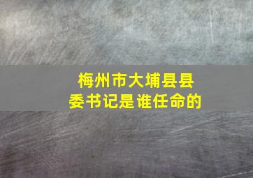 梅州市大埔县县委书记是谁任命的