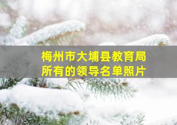 梅州市大埔县教育局所有的领导名单照片