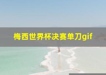 梅西世界杯决赛单刀gif