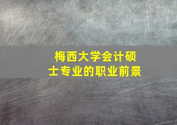 梅西大学会计硕士专业的职业前景