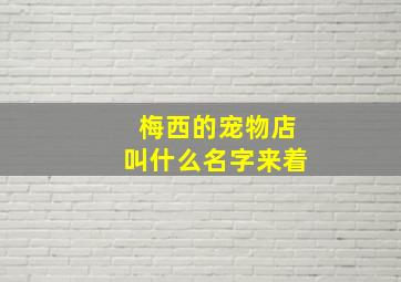 梅西的宠物店叫什么名字来着