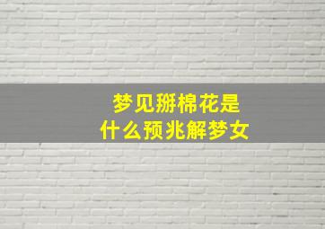 梦见掰棉花是什么预兆解梦女