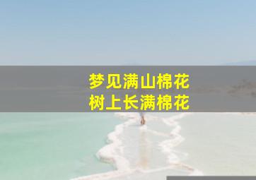 梦见满山棉花树上长满棉花