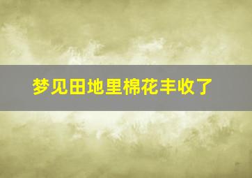 梦见田地里棉花丰收了