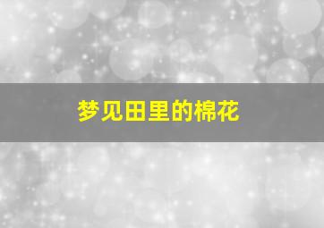 梦见田里的棉花