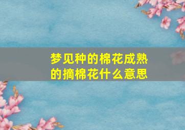 梦见种的棉花成熟的摘棉花什么意思