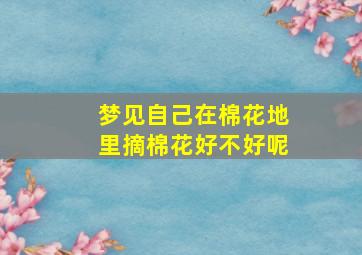 梦见自己在棉花地里摘棉花好不好呢