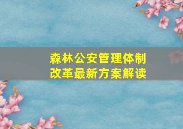 森林公安管理体制改革最新方案解读