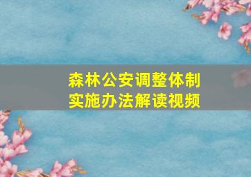 森林公安调整体制实施办法解读视频