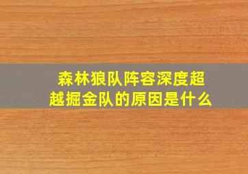 森林狼队阵容深度超越掘金队的原因是什么