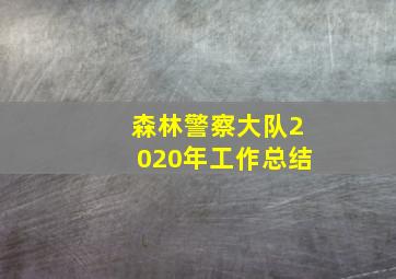 森林警察大队2020年工作总结