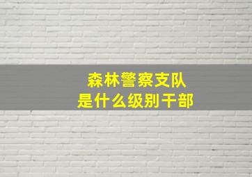 森林警察支队是什么级别干部