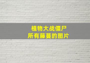 植物大战僵尸所有藤蔓的图片