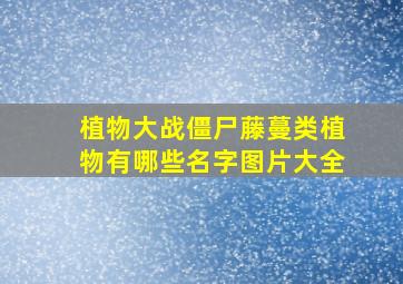 植物大战僵尸藤蔓类植物有哪些名字图片大全