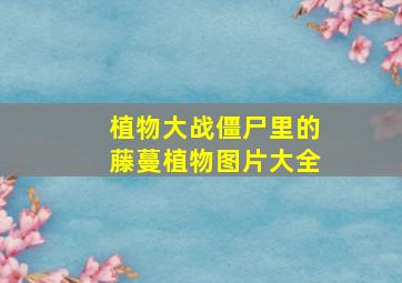 植物大战僵尸里的藤蔓植物图片大全