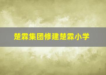 楚霖集团修建楚霖小学