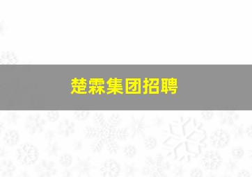 楚霖集团招聘