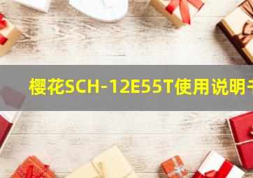 樱花SCH-12E55T使用说明书