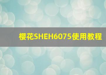 樱花SHEH6075使用教程