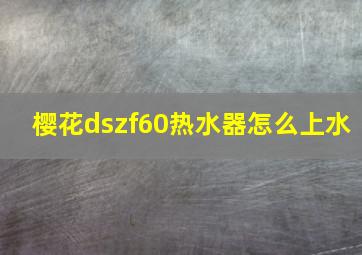 樱花dszf60热水器怎么上水