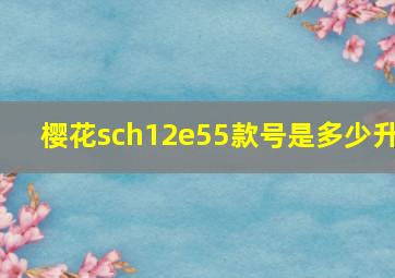 樱花sch12e55款号是多少升