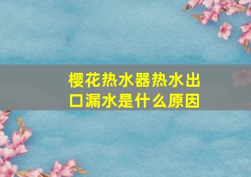 樱花热水器热水出口漏水是什么原因