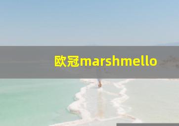 欧冠marshmello