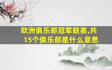 欧洲俱乐部冠军联赛,共15个俱乐部是什么意思