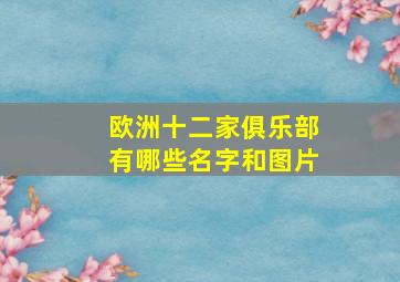 欧洲十二家俱乐部有哪些名字和图片