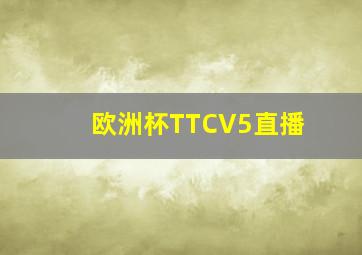 欧洲杯TTCV5直播