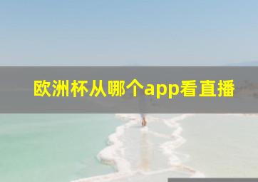 欧洲杯从哪个app看直播