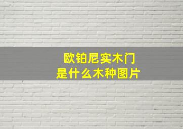 欧铂尼实木门是什么木种图片