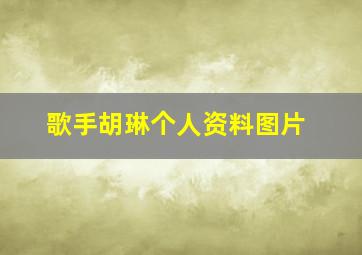 歌手胡琳个人资料图片