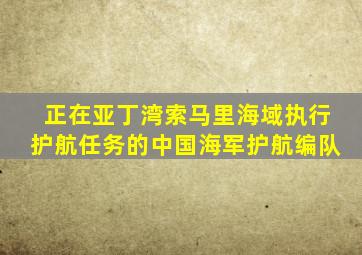 正在亚丁湾索马里海域执行护航任务的中国海军护航编队